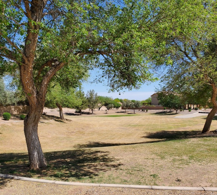 Park (Maricopa,&nbspAZ)